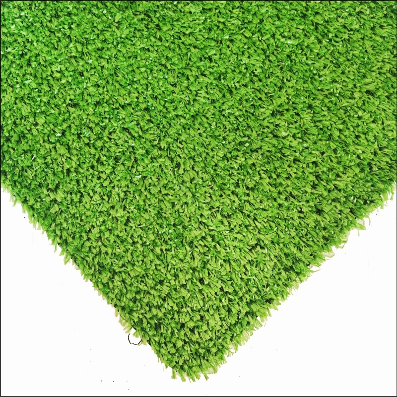 Carpet Grass CG10 from Hebei Xiongyi Rubber Products Co., Ltd