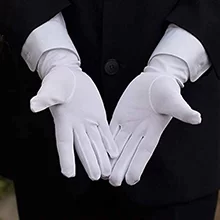 (3)