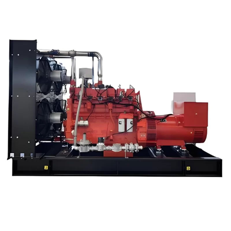 Open Type Natural Gas Generator